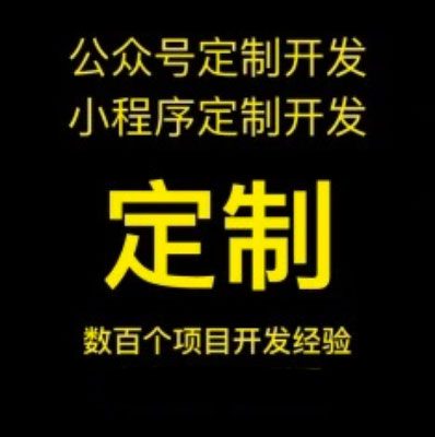 定制开发