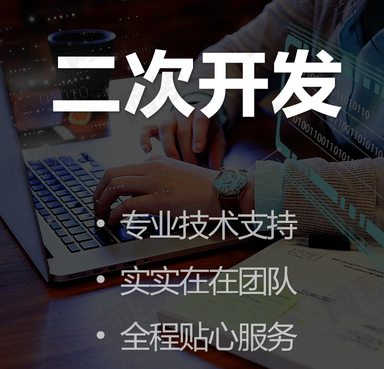 二次开发